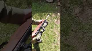 Weihrauch HW99S vs can targets subscribe plinking shorts airgun [upl. by Alderman]