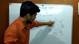 Variable reluctance stepper motor [upl. by Lonny854]