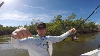 How To Catch Threadfin Using A Sabiki Rig [upl. by Nadabas249]