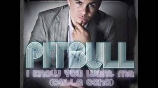 PitbullI Know you want me calle ochooriginalLyrics [upl. by Linkoski]