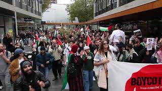 Tientallen mensen aanwezig bij ProPalestijnse demonstratie Stationsplein Rotterdam [upl. by Gottuard703]