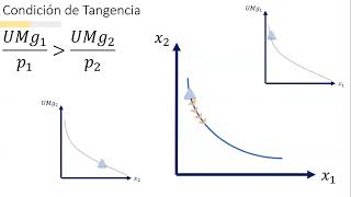 MICROECONOMÍA I  Teoría del Consumidor Maximización de la Utilidad  Tangencia  Parte I [upl. by Anirual]