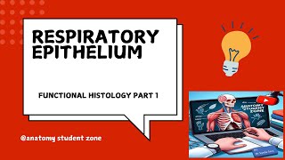 Functional Histology of Respiratory System Part I Respiratory Epithelium Anatomy Student Zone [upl. by Ackley]