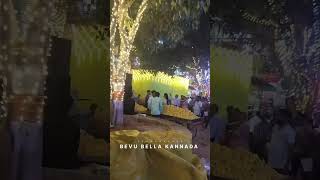 Shri Maramma Devi Jatre Lightings❤️✨ music trending travel kannada southkarnataka viralvideo [upl. by Astera]