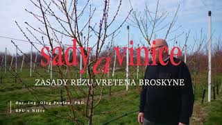 Sady a vinice I Zásady rezu vretena broskyne [upl. by Linehan]