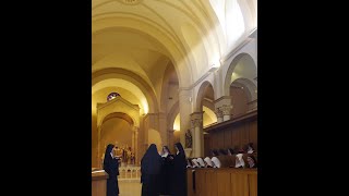 Benedictines of Mary Queen of Apostles  About Us [upl. by Anilecram828]