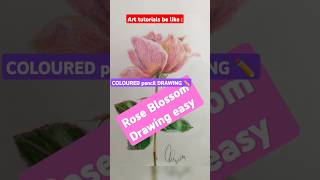 Drawing EasyColoured Pencil Drawing Rose Blossom pencilsketchingdrawing [upl. by Ettevy]