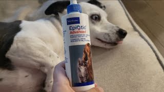 Reviewing EpiOtic Advanced Ear Cleanser for Dogs and Cats [upl. by Haimehen]