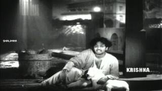 Jagame Maya Video Song  ANR Devadasu Movie  Akkineni Nageswara Rao Savitri [upl. by Ruggiero996]