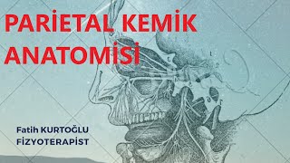 FTR  PARİETAL KEMİK  Anatomi Konu Anlatımı10 [upl. by Elenaj]