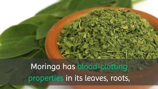 10 Benefits of Drinking Moringa Tea Everyday [upl. by Ruffina]