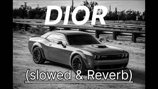 Dior Shubh🥊🎵 ॥Slowed and Reverb॥ 👿💕🎵Panjabi Song [upl. by Cairns219]