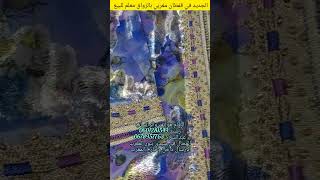 أرووووع وآخر ماكين في خياطة القفطان المغربي لسنة 2023 caftan marocain [upl. by Aekal]