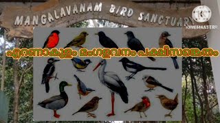 മംഗളവനം പക്ഷി സങ്കേതം  Mangalavanam bird sanctuary  High court  Ernakulam tourist places [upl. by Ynattirb832]