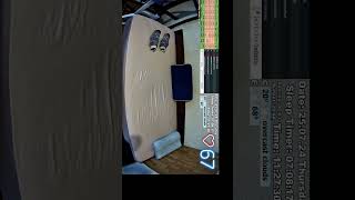 Sleep Stream short 25072024 vss full video in description sleepstream shorts live sleeping [upl. by Anotyad]