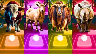 Funny Bull VS Funny Goat VS Funny Wild Yaks VS Funny Rhino  Funny Animals  Coffin Dance [upl. by Zach]