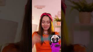 A TOY DOG HAVE 💩💩💩 FUNNY funnyanimals dog barbie diy [upl. by Nyledaj]