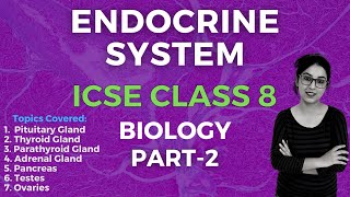 Endocrine System  ICSE CLASS 8 Biology  Part  2 [upl. by Jovitah766]