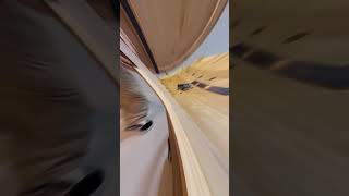 relaxing video  ASMR wood woodworking woodartistry woodart [upl. by Necila465]