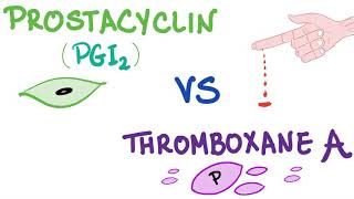 Prostacyclin PGI2 vs Thromboxane A2 TXA2  Bleeding vs Coagulation  Hematology [upl. by Coulson217]