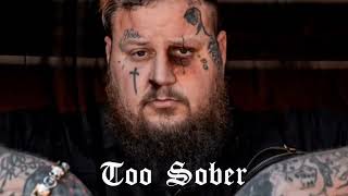 Jelly Roll  Too Sober  Lyrics [upl. by Oicirbaf]