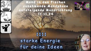 MondTIPP  1111  starke Energie um deine Ideen umzusetzen [upl. by Hamford]