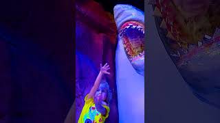 Milas SHOCKING Shark Encounter 🦈 Animals for kids kidsshorts zoo [upl. by Rodrique]