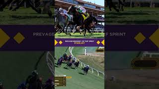 Starlust wins the 1 Million Prevagen BreedersCup Turf Sprint [upl. by Aleahc]