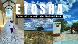 King Nehale Lodge  Halali Resort  Etosha National Park  Family  Vacation [upl. by Tevlev]