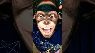 Green free fire Sean monkey funny part 7🐒🐒 comedy monkey freefireshortstoryentertainment [upl. by Niawtna]