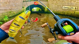 Je ne m’attendais pas à ça en pêchant dans ce centreville des zones de pêche improbables [upl. by Harp]