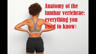 Anatomy of the lumbar vertebrae everything you need to know [upl. by Marsh]