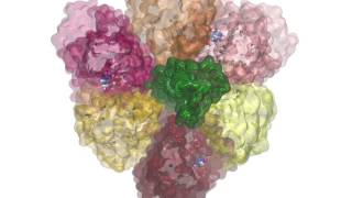 stalk rotation of Vtype ATPase [upl. by Emirac973]