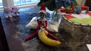 Very naughty elf on the shelf [upl. by Lugar]