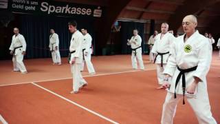 Shorin Ryu Seibukan Karate in Deutschland [upl. by Anahir]