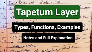 Tapetum Layer  Types  Functions  Examples  Anther Layers notes tapetum anther angiosperms [upl. by Owades403]