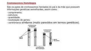 Ploidia cromossomos homólogos e cariótipo [upl. by Aldwin214]