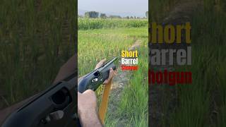 Short Barrel Shotgun [upl. by Amri]