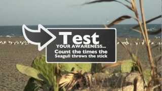 Visual Awareness Test  Are You Ready  Take a Test [upl. by Chiquita]