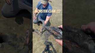 Huge monster clam pulled from the bay clamming oregoncoast NetartsBay gaper not geoduck [upl. by Yentroc]