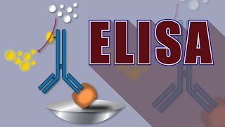 La technique dELISA EnzymeLinked ImmunoSorbent Assay [upl. by Gaylor903]