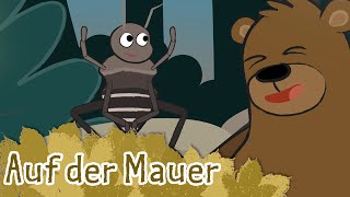 Auf der Mauer auf der Lauer  Kinderlieder  die kleine Eule amp ihre Freunde [upl. by Alathia612]