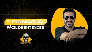 PLEXO BRAQUIAL FÁCIL DE ENTENDER anatomiafacil [upl. by Jonme210]