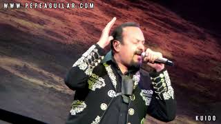 Pepe Aguilar  Tus Desprecios [upl. by Vilhelmina]