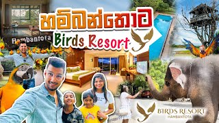 Place to visit in Sri lanka  Hambantota Birds Resort 🌳🦩  හම්බන්තොට මහා වන මැද පාරාදීසය 🌴🦆 [upl. by Nawtna]