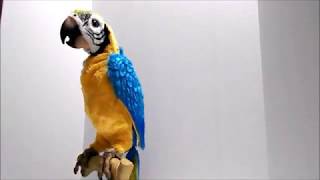 Squawkers McCaw FurReal Friends Interactive Talking Parrot [upl. by Bobette603]