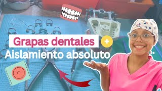 “Así separamos los dientes de la Saliva”Aislamiento absoluto  Grapas dentales ✅ [upl. by Aneetsirk]