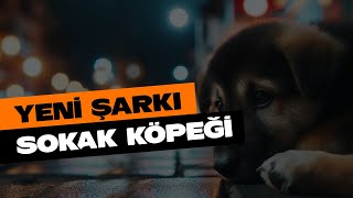 Yapay Zeka ile Yeni Şarkı Sokak Köpeği [upl. by Llewej]