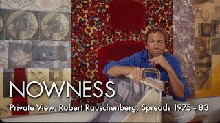 Robert Rauschenberg at Tate Modern [upl. by Parthinia]