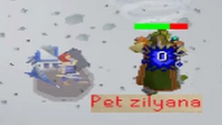 Best Sara Pet Drop Reaction  Oldschool RuneScape 2007 [upl. by Jorgenson]